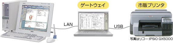 電子カルテとゲートウェイをLANで接続、ゲートウェイとプリンタをUSBで接続。