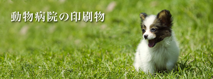 動物病院向け印刷物